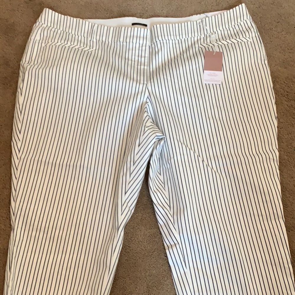 Wide legged women’s pants